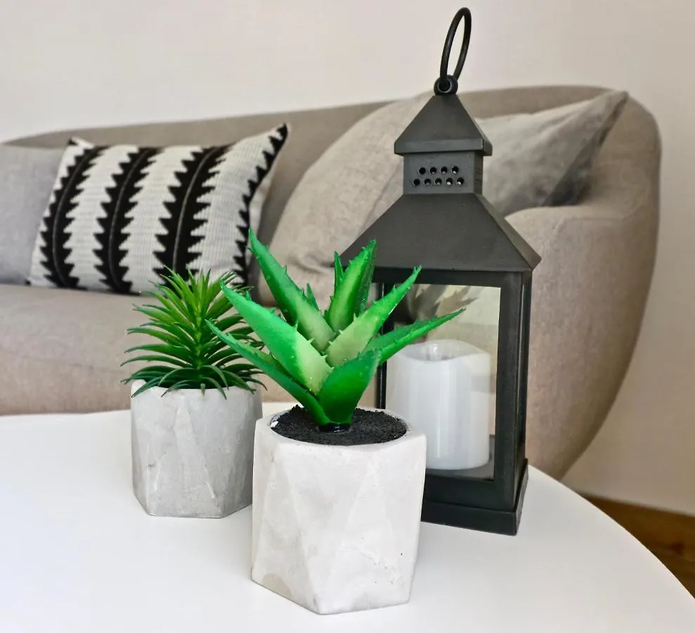 Apartment Maestral 로비니 크로아티아
